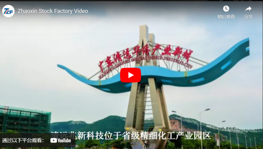 Zhaoxin Stock Factory Video