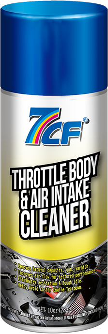 Throttle Body & Air Intake Cleaner